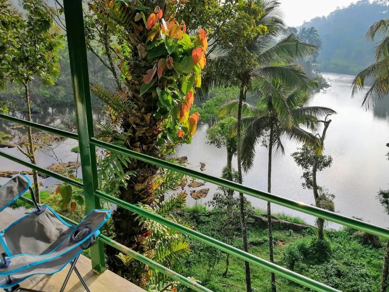 Noah'S Nest Tree House Apartment Thekkady